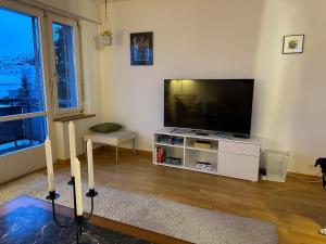 a living room with a large flat screen tv at TheCrown in Kilchberg