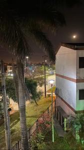 a palm tree next to a building with a palm tree at Tu departamento en Formosa in Formosa