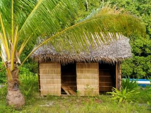 a small hut with a straw roof and a palm tree at War Homestay in Pulau Minyaifuin