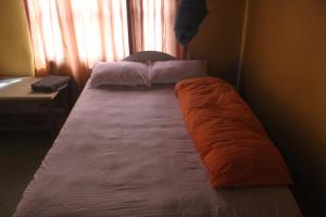 a bed with two pillows on it in a bedroom at Shanta Ghar A Rustic Guesthouse in Chitwan