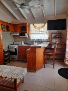 a kitchen with wooden cabinets and a stove top oven at Joyville in Bridgetown