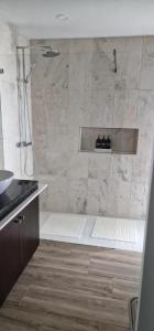 a bathroom with a shower with a sink at Vila Vicente-Wellness, Fantastic Views and Parking in São Vicente Ferreira