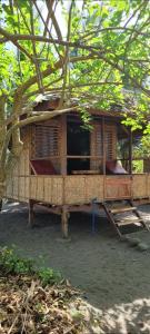 a building with a porch with a tree at Mananambal Beach Huts - Hut 2 in Nagbalaye