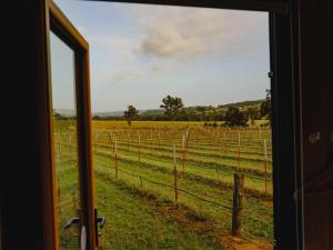 a view of a field from a train window at Sunset Tiny House at Bluebush Estate X by Tiny Away in Rothbury