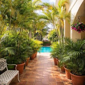 a courtyard with palm trees and a swimming pool at Coral Princess Hotel in San Juan