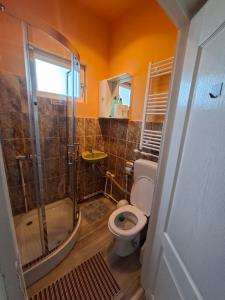 a bathroom with a shower and a toilet in it at Altan's Gold in Hangul