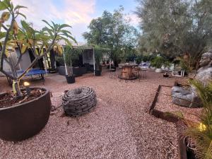 a garden with a bunch of plants and a tire at 16 Stokes-Hughes Street - With Pool in Exmouth