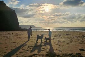 two people and two dogs walking on the beach at Tiny Base The Irita-hama in Shimoda +26 photos