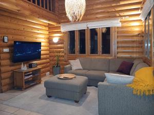 a living room with a couch and a tv at Kolilla oy, Purnutar B in Kolinkylä