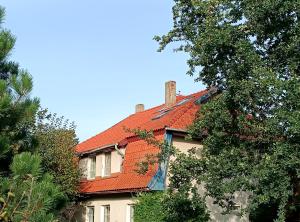 a house with an orange roof and trees at Vėtrungėlė in Nida