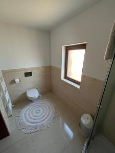 a bathroom with a toilet and a window at Cazare Luxandra in Borşa
