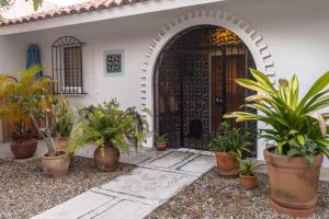 an entrance to a house with plants in pots at Casa Rita! Relaxing two bedroom getaway! in Puerto Escondido