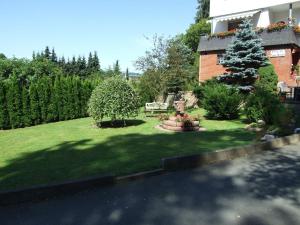 a yard with a christmas tree and a house at Ferienwohnung Oberschledorner Wald in Medebach +32 photos