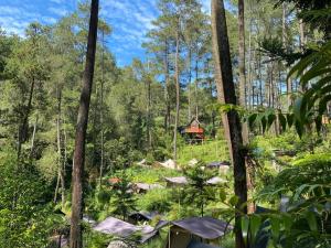 a group of tents in a forest with trees at corak alam glamping in Tangkubanperahu
