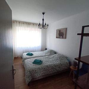a bedroom with two beds and a chandelier at charming apartment in Stiring-Wendel