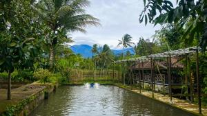 a pond in a garden with a building and palm trees at Keluncing Field Homestay in Tetebatu