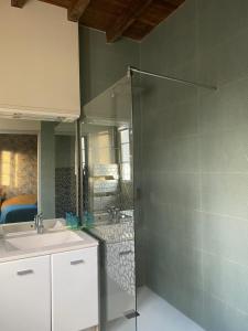 a bathroom with a sink and a shower at Gîte Asaliah in Sainte-Colome +12 photos