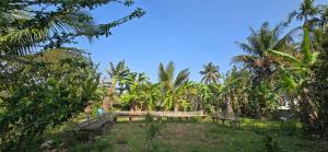 a bench in the middle of a forest of palm trees at Brighton Hostel Stays in Sultan Bathery