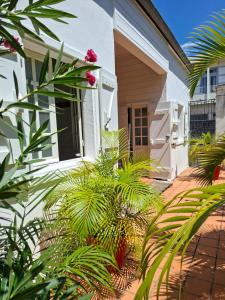 a white house with palm trees in front of it at Ô Privilège studio jacuzzi clim en centre-ville de Saint-Pierre in Saint-Pierre