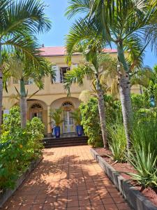 a building with palm trees in front of it at Ô Privilège studio jacuzzi clim en centre-ville de Saint-Pierre in Saint-Pierre