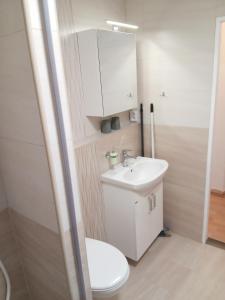 a bathroom with a white toilet and a sink at Soukromé ubytování 1 in Zlín +5 photos