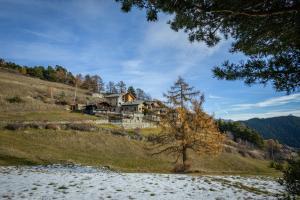 a house on the side of a hill with a tree at Enfin Clavon - appartamento in baita in Verrayes