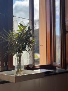a vase with a plant sitting on a window sill at Casa Pichi in El Pulliu