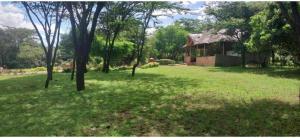 a house in the middle of a field with trees at Empiris homestay in Sekenani