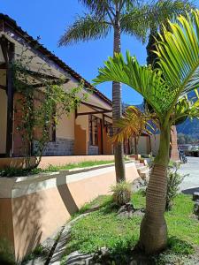 a palm tree in front of a house at Uciek Tengger Hotel Bromo in Ngadisari
