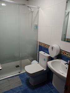 a bathroom with a toilet and a sink at Pension Ameneiral in O Pedrouzo