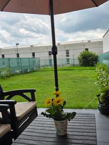 a flower pot sitting on a table with an umbrella at Anca House in Baia Mare