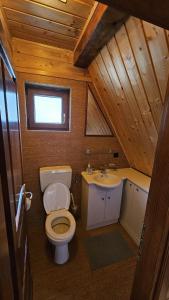 a small bathroom with a toilet and a sink at Kuća za odmor Vesna in Stari Laz +43 photos