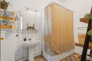 a bathroom with a sink and a shower at Cozy Antwerp - Sunny Zurenborg in Antwerp