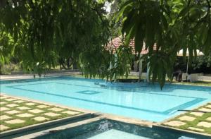 a large blue swimming pool with a tree overhead at The Rising Sun Farm Karjat - Luxury Stays - Couple Friendly in Karjat +19 photos