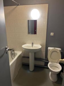 a bathroom with a sink and a toilet and a mirror at Logement type studio 1 piece proche zénith in Strasbourg