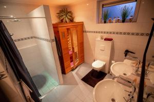 a bathroom with a sink and a toilet and a shower at B&B Oldemarkt in Oldemarkt +37 photos