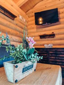 a wooden room with a flower pot on a table at Chalet Hüttendorf 49 gradnord in Bayerisch Eisenstein