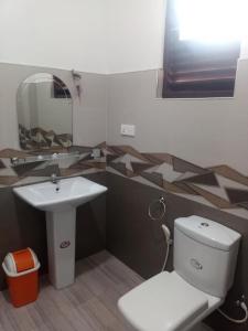 a bathroom with a white toilet and a sink at Green Haven Yala Safari Retreat in Tissamaharama