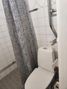 a bathroom with a toilet and a shower curtain at Karl Cozy stay in Örebro