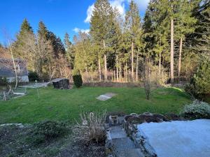 a garden with a pond in the middle of a yard at Hearts Home Hahnenklee in Hahnenklee-Bockswiese