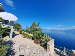 a house with a view of the water at Holiday house Jakov in Gdinj