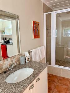 a bathroom with a sink and a shower at Oatlands Cottages in Grahamstown +20 photos