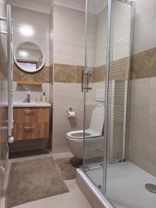 a bathroom with a toilet and a glass shower at Apartmán Stará Tržnica in Trenčín