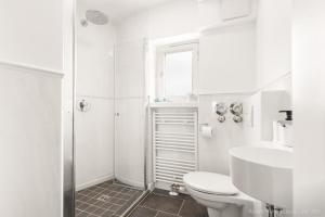 a white bathroom with a toilet and a shower at Bad Aibling Apartments in Bad Aibling