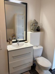 a bathroom with a toilet and a sink and a mirror at Cocon Seine parisii in Sartrouville