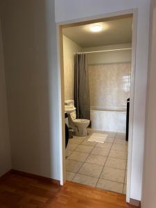 a bathroom with a toilet and a bath tub at Linz Wasserwald - cozy 2BR Apartment in Linz