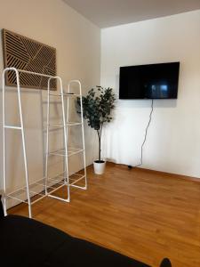 a room with a plant and a tv on a wall at Linz Wasserwald - cozy 2BR Apartment in Linz