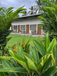 a house with green plants in front of it at Bhoomi in Mysore