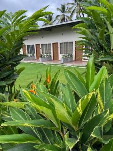 a view of a house from the garden at Bhoomi in Mysore