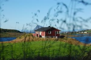 a red house on a hill next to a body of water at Guesthouse in Hellosan in Vestvågøya